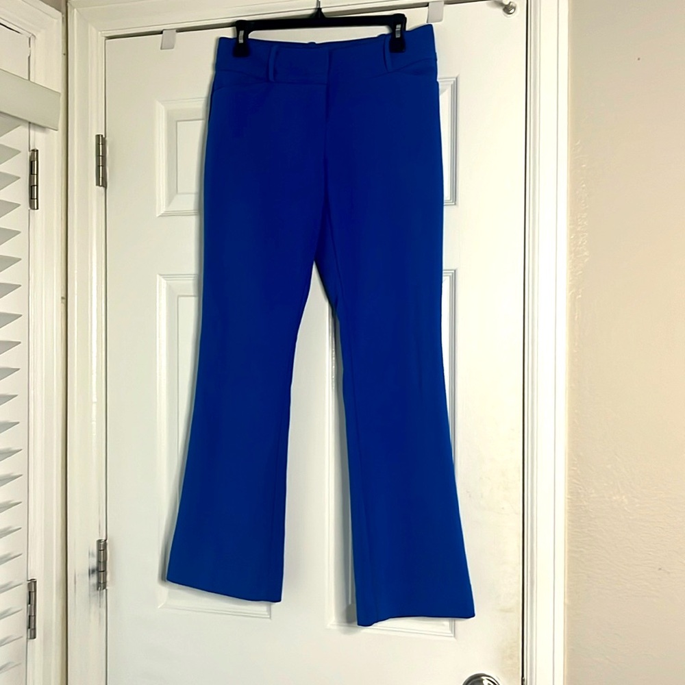 Beautiful blue dress pants from the Limited. Size 4P.